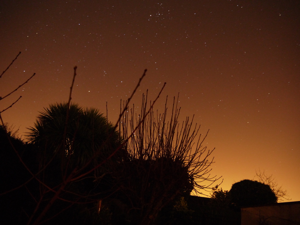 Orion and Taurus struggle to be seen against urban skyglow (Bob Mizon)