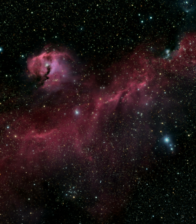 Observation by Ian Hynes