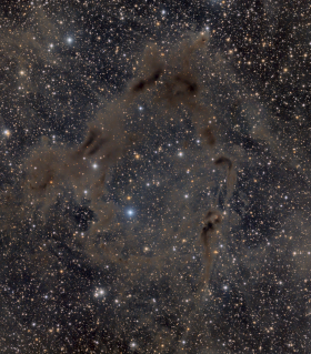 Observation by Graeme Coates