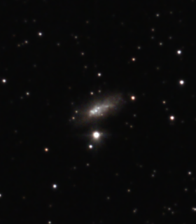 Observation by Mattia Piccoli