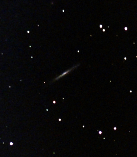 Observation by Alan Thomas