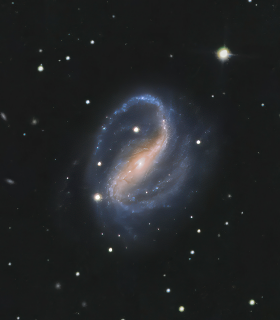 Observation by Mike Greenhill-Hooper