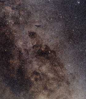 Observation by David Strange