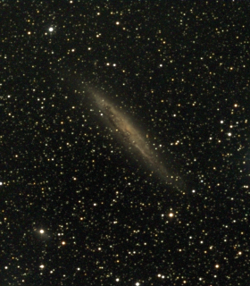 Observation by Ivan Walton