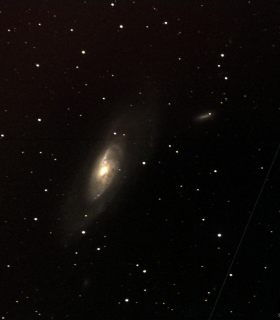 Observation by Ivan Walton