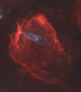 Observation by Callum Wingrove