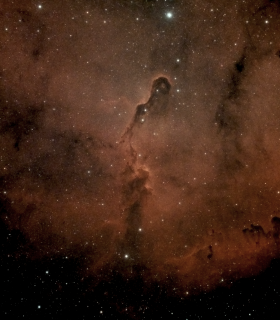 Observation by Alun Halsey