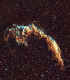 Observation by Alun Halsey