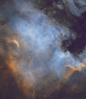 Observation by Callum Wingrove