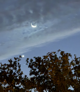 Observation by Andrew Paterson