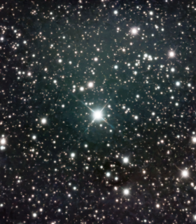 Observation by Nicholas Freeman