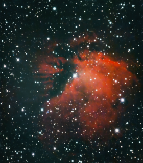 Observation by Nicholas Freeman