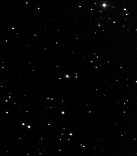 Observation by Alan Thomas