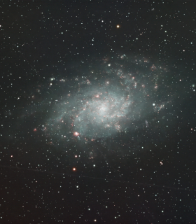 Observation by Alan Ferguson