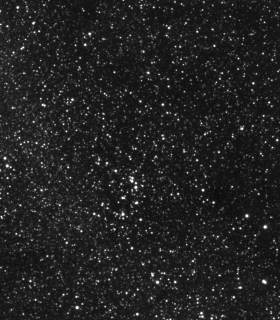 Observation by Ivan Walton