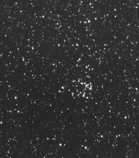 Observation by Ivan Walton