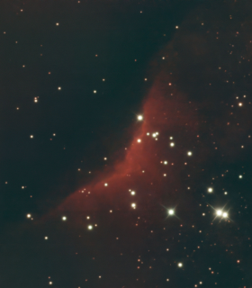 Observation by Nicholas Freeman