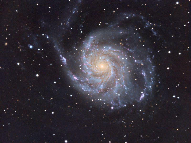 M101 - Ian Sharp