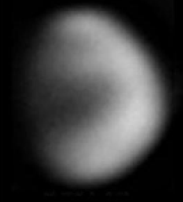 venus_teaser