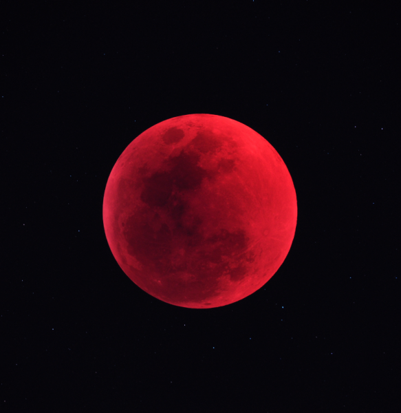 Total lunar eclipse imaged from South Africa, 2011 June 15 (Clyde Foster)