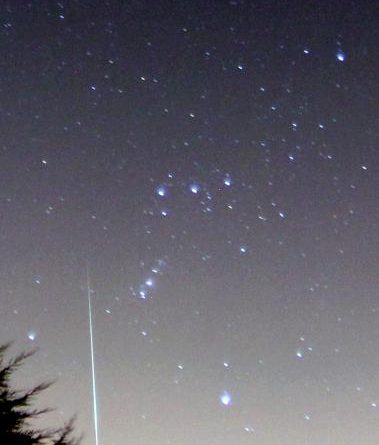 2014 Geminid in Orion
