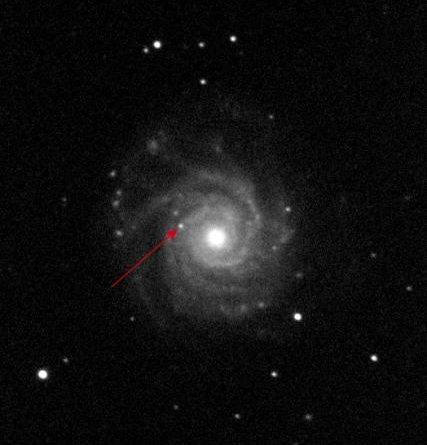 ngc3938 sn2017 annotated