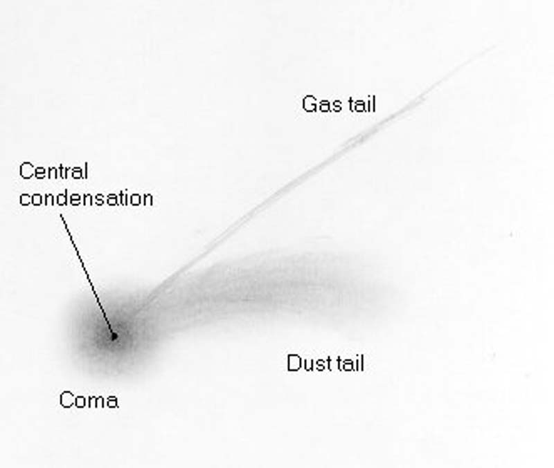 Figure 2 The various features that may be visible in a comet.