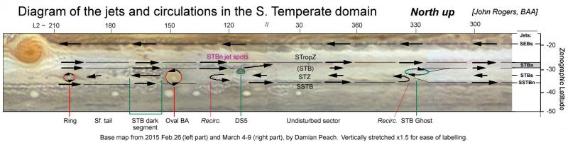 smFig1_Diagram-of-STempR_labeld_N-up