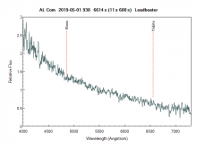 alcom_20190501_938_Leadbeater