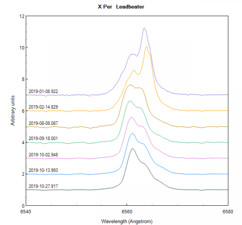 xper_20191027_917_Leadbeater