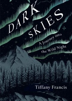 Dark Skies JACKET IMAGE