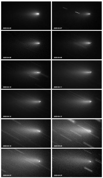 Figure 5. Images of the central part of the comet’s coma, processed in the same way for 12 nights from 2020 Apr 5–25 in Chelmsford, UK. Images were generally taken around 21–22:00 UTC. The field of view is 3.8×2.2arcmin. 0.28m ƒ/10 SCT and KAF-6303 CCD. By Nick James