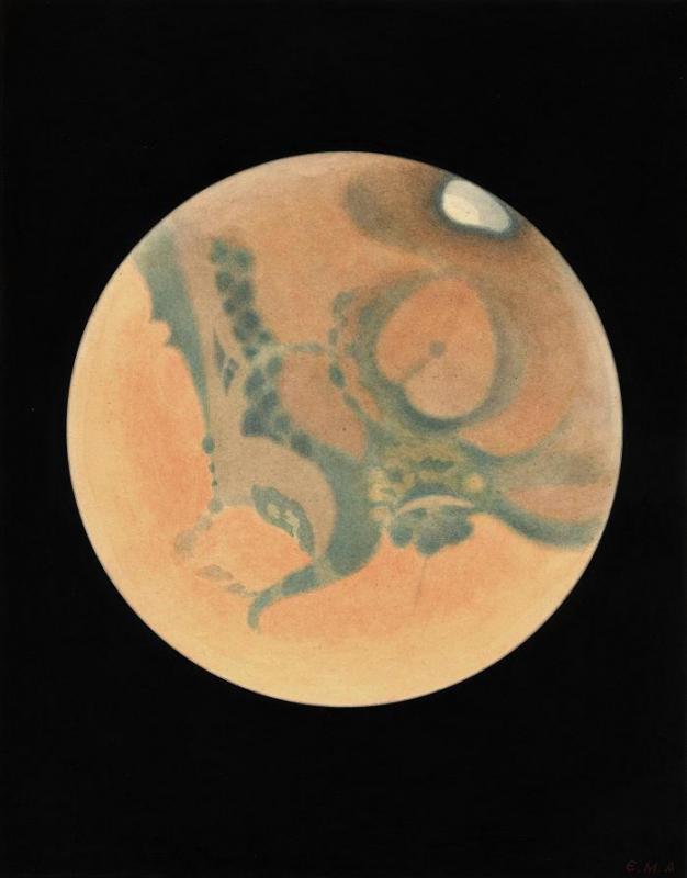 Figure 5. A watercolour of Mars by E-M. Antoniadi painted in September 1909.