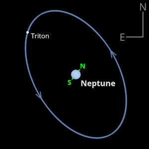 The position and orbit orientation of Triton at the opposition of Neptune on 11 September 2020. Image credit: Ade Ashford.