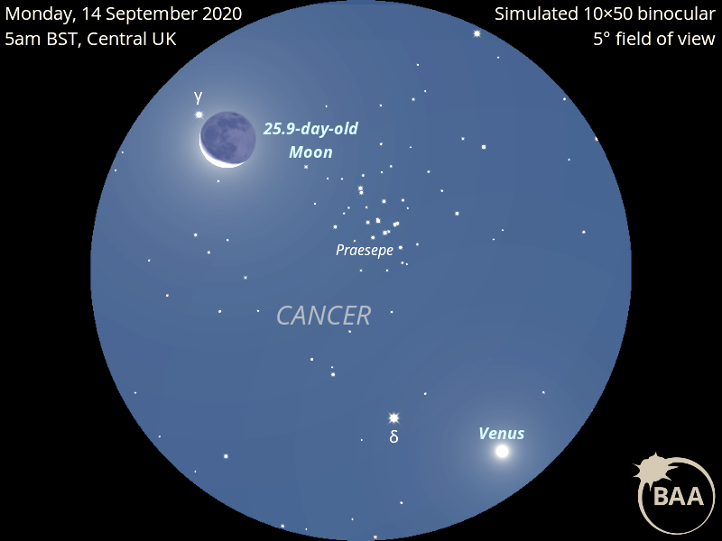 Observers in the UK with a clear sky low to the east around 5am BST on Monday, 14 September can see the almost 26-day-old waning crescent Moon just 1½ degrees from the heart of open star cluster Messier 44, better known as Praesepe, or the Beehive Cluster. What's more, dazzling Venus lies within the same low-power binocular field of view.