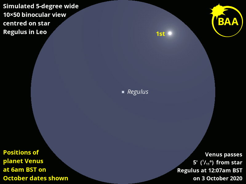 Venus and Regulus, October 1-4 at 6:00am BST