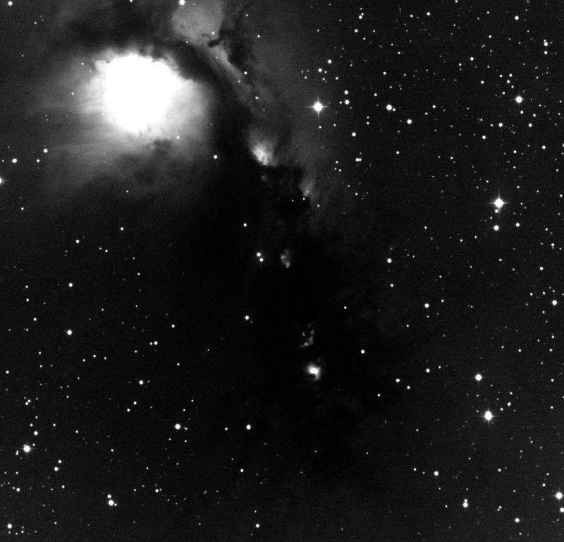 M78 and McNeils nebula