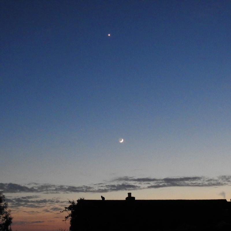 Figure 3. Venus, here seen above the Moon can be a striking object even in twilight. Image courtesy Andrew Paterson