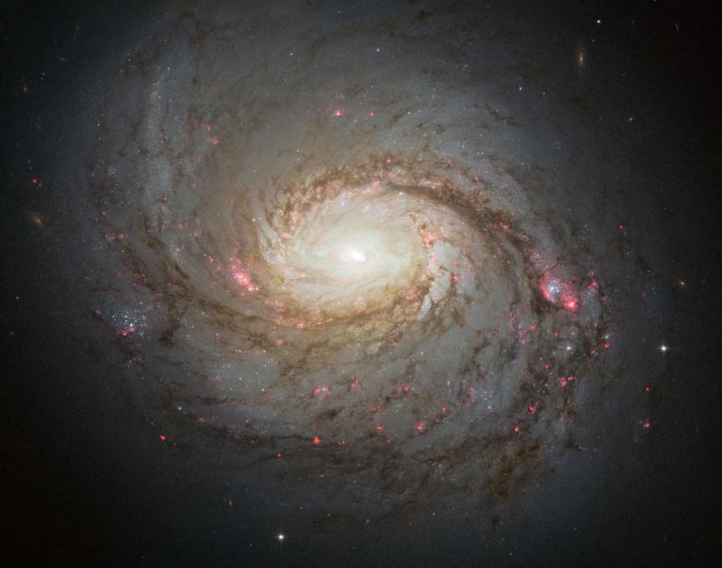 M77 Spiral Galaxy in Cetus : First Object to find in a Messier Marathon at dusk