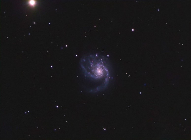 M99, imaged by Andrea Tasselli.