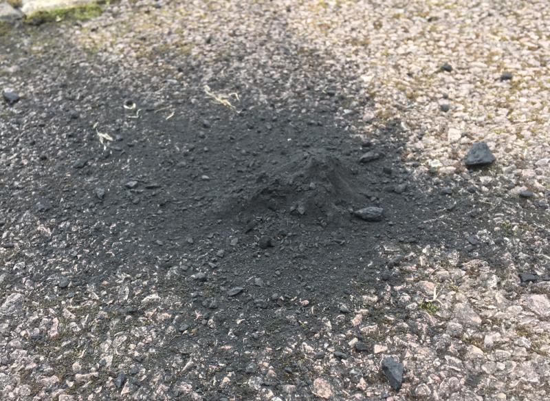 The main mass of the Winchcombe meteorite, as found by the Wilcock family on their drive, the morning after the fall. Credit - Rob Wilcock