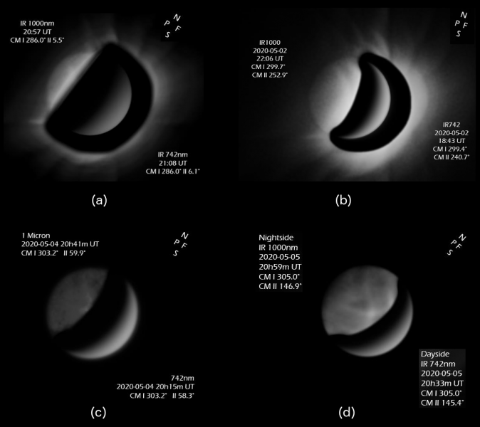 A sequence of IR images taken by Pete Lawrence using a 356mm SCT. The nightside was captured using an ASI 224MC at 1,000nm, while the illuminated crescent was captured using an ASI 174MM at 742nm. The two images were then combined to give a single image, showing the nightside and a crescent which is not over-exposed. Images (c) and (d) were processed with artefact reduction and masked to remove stray light patterns. Dates for each image are as follows, (a) 2020 Apr 25, (b) 2020 May 2, (c) 2020 May 4 and (d) 2020 May 5.