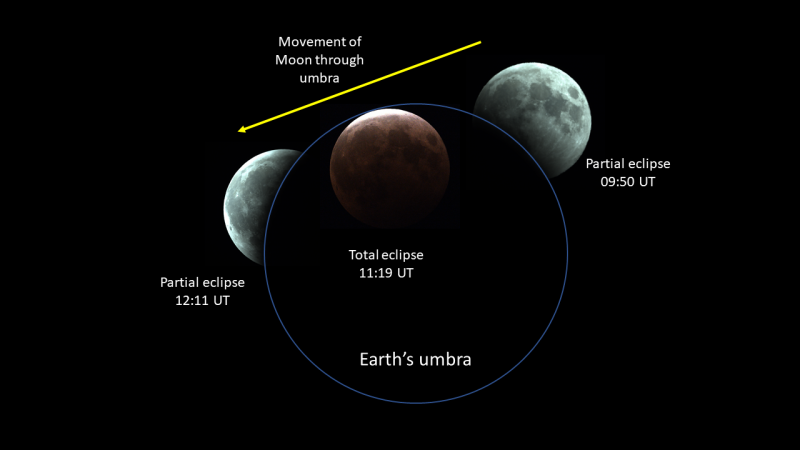Figure 3. Three images captured during the eclipse using a 100mm ƒ/5.8 SharpStar refractor, ×0.8 focal reducer and ZWO 294MC camera, with the Moon superimposed on a presumed outline of the Earth’s umbra. Note that the camera’s gain was increased during totality to capture the red tinge of the eclipsed Moon.