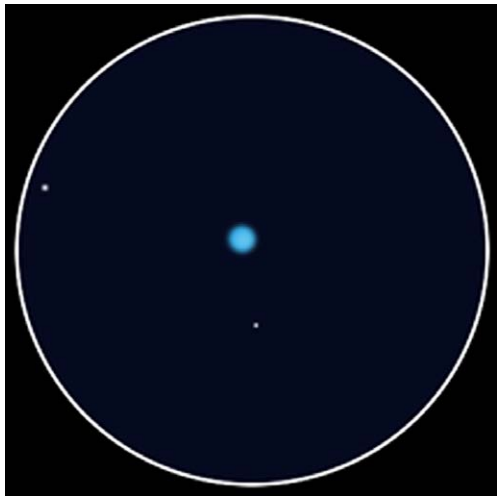 Figure 2. Drawing of Neptune and Triton (approximately at the 6 o’clock position) on 2015 Sep 22, 0004–0011 UT. The field of view is 0.19°. 203mm Newtonian reflector, ×312. Seeing AII. P. Abel