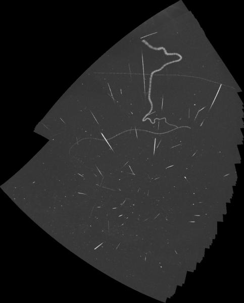 Creatures of the night - the Lyrid meteors of 2021 Apr 22, on the trail of a foraging bat. (Richard Bassom, Wessex Astronomical Society)