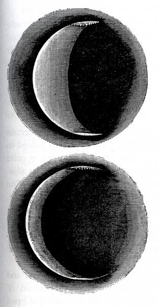 Figure 1. Drawings of Venus by E. L. Trouvelot, showing the ‘sparkling stars’ at the inner margins of the polar cusp caps. Trouvelot supposed they were ice peaks.  Top - 1878 January 19. Bottom - 1878 February 5.  From 'Observations sur les planets Vénus et Mercure' (Paris, 1892).
