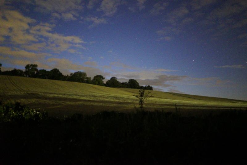 The glow-worm population of this grassy bank in rural England has been eradicated by stray light from an industrial unit. (Robin Scagell)