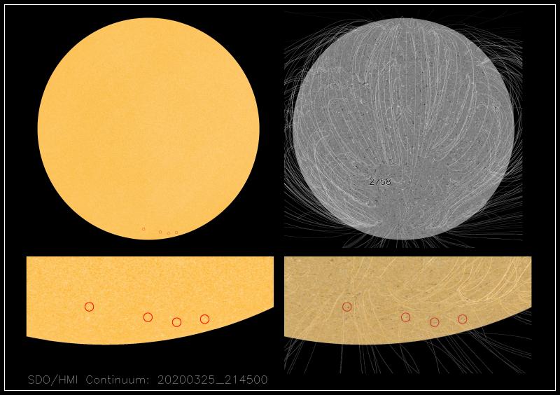 Figure 1. Helioseismic & Magnetic Imager (HMI) continuum image (top left) and magnetogram (top right) from the Solar Dynamics Observatory (SDO) on 2020 Mar 25. Polar faculae of interest are circled in red (bottom left) and the continuum image was overlaid in Adobe Photoshop CS5 onto the magnetogram image (bottom right). This highlights the co-localisation of the polar faculae with the magnetic field footpoints where they meet the polar surface.