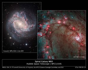 Spiral Galaxy M83