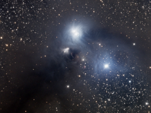 A colour image of the variable reflection nebula NGC 6729, taken by Terry Evans. It appears blue-ish, with some black absorption nebulosity occluding also visible and occluding the background stars